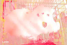 Load image into Gallery viewer, SNOW DOG - Bleed Collection Nr. 1 - TJOOK 2019