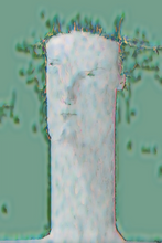 Load image into Gallery viewer, CANDIDE - TJOOK 2022