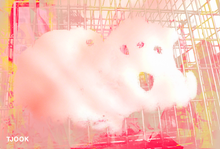 Load image into Gallery viewer, SNOW DOG - Bleed Collection Nr. 1 - TJOOK 2019
